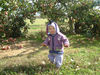 HalloweenAndApplePicking102906010.jpg